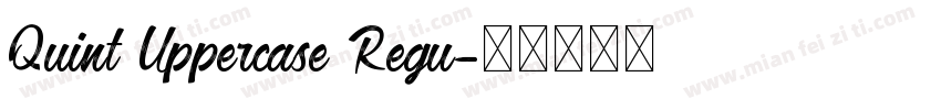 Quint Uppercase Regu字体转换